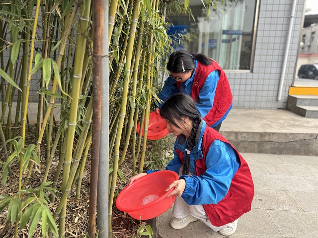 志愿者为校园花草树木浇水.jpg