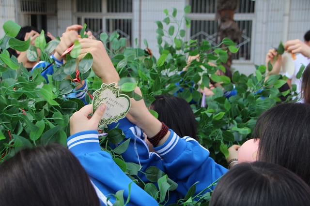 女生们将写满愿景的心愿卡挂在心愿树上.jpg